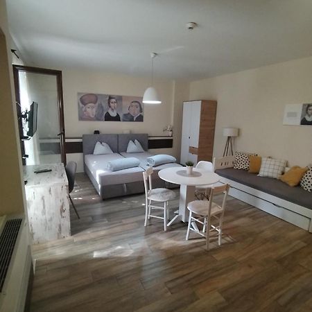Centar Novi Sad-Studio No. 2 Ngoại thất bức ảnh